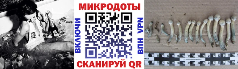 Псилоцибиновые грибы Psilocybine cubensis kraken как войти Георгиевск